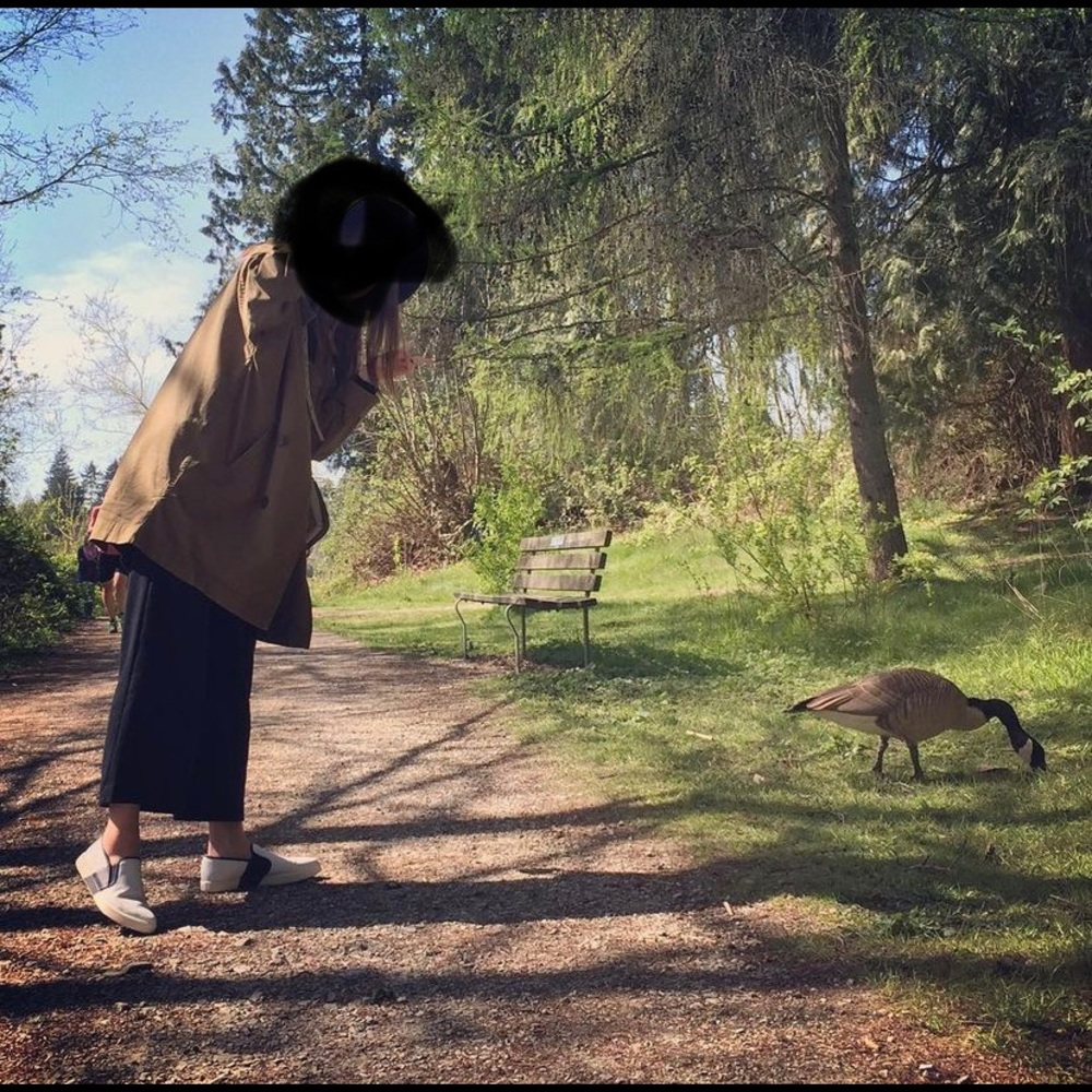 Green jacket - Picture 2 of 6